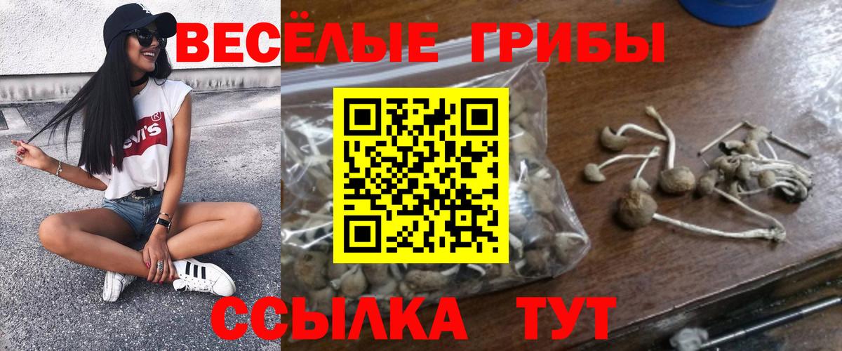 Самара  купить  сайты  Вход с VPN  Галлюциногенные грибы GOLDEN TEACHER  Псилоцибиновые грибы Magic Shrooms 
